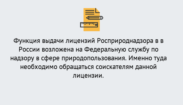 Почему нужно обратиться к нам? Новодвинск Лицензия Росприроднадзора. Под ключ! в Новодвинск