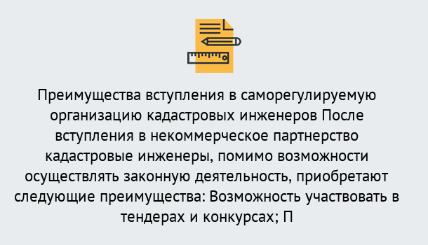 Почему нужно обратиться к нам? Новодвинск Что дает допуск СРО кадастровых инженеров?