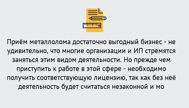 Почему нужно обратиться к нам? Новодвинск Лицензия на металлолом. Порядок получения лицензии. В Новодвинск