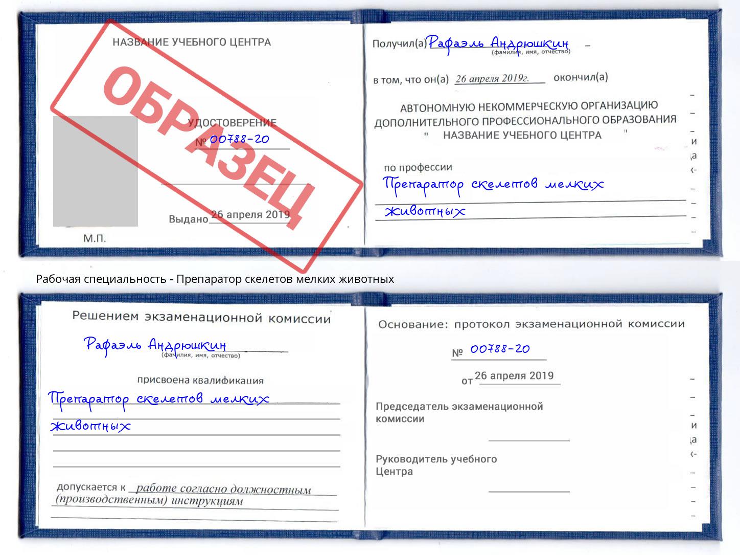 Препаратор скелетов мелких животных Новодвинск