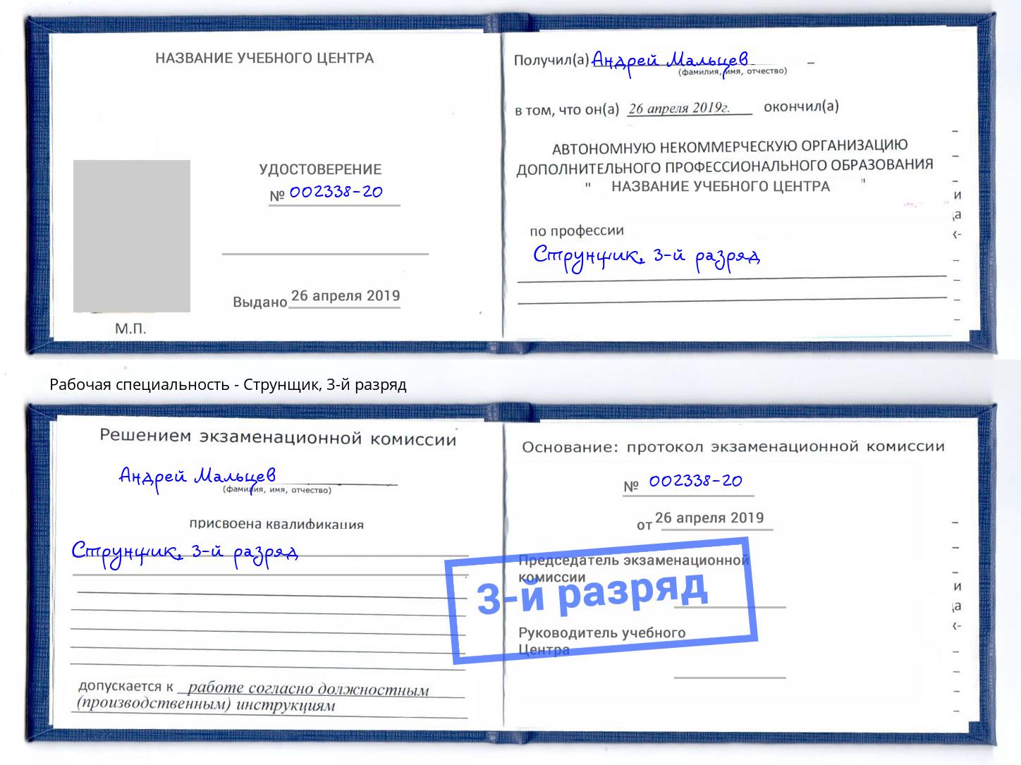 корочка 3-й разряд Струнщик Новодвинск