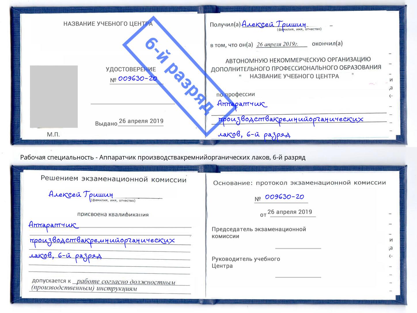 корочка 6-й разряд Аппаратчик производствакремнийорганических лаков Новодвинск